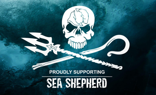 Spende an Sea Shepherd