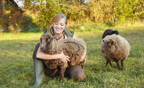 tierisch gutes Fotoshooting