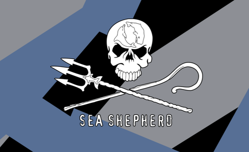zstudio spendet an Sea Shepherd.