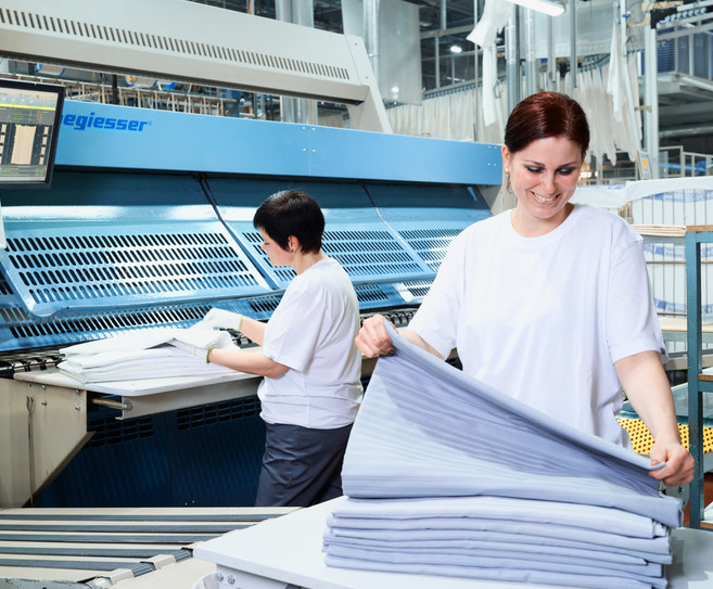 3108388_greif_produktion_302