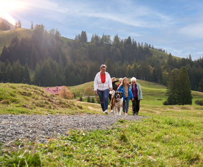 cropped-1706012105-zstudio_firmenkunden_alpsee_bergwelt_9