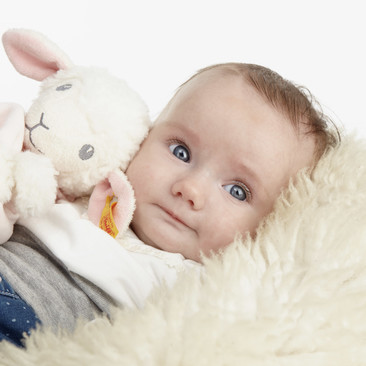 zstudio baby fotografie